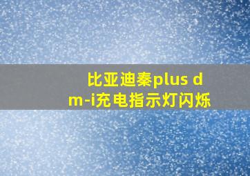 比亚迪秦plus dm-i充电指示灯闪烁